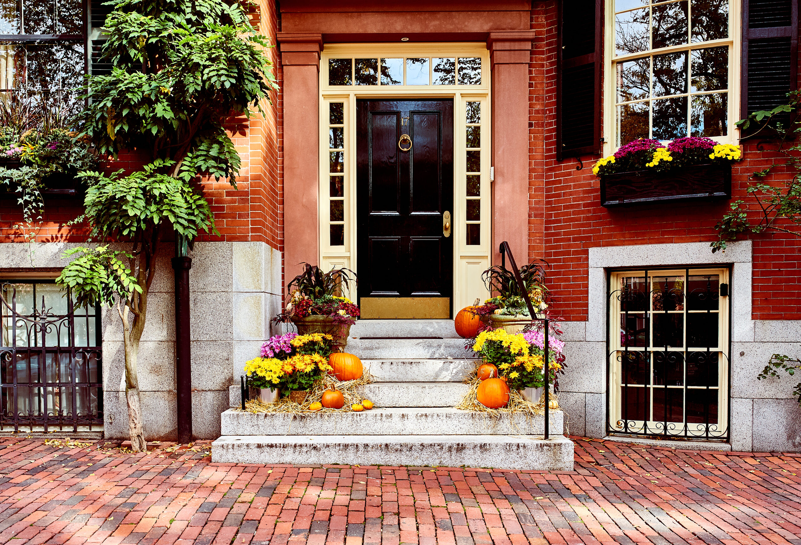 Entry Door Newton