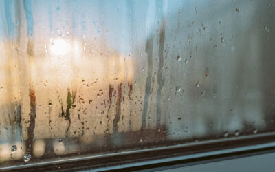 Why Condensation Forms on Windows